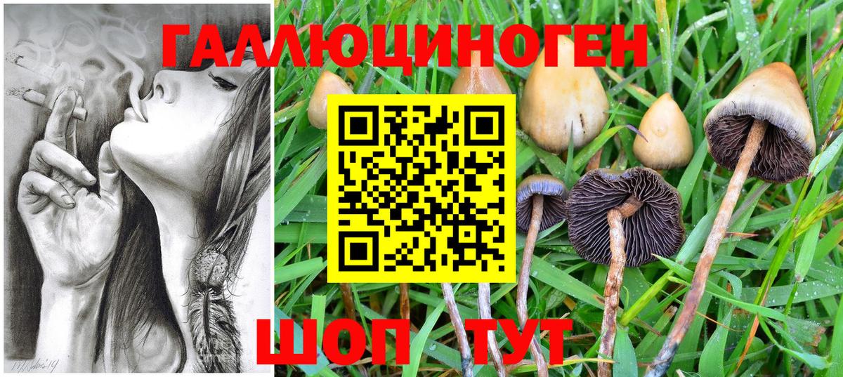 Псилоцибиновые грибы MAGIC MUSHROOMS  Вход с VPN  Удомля 