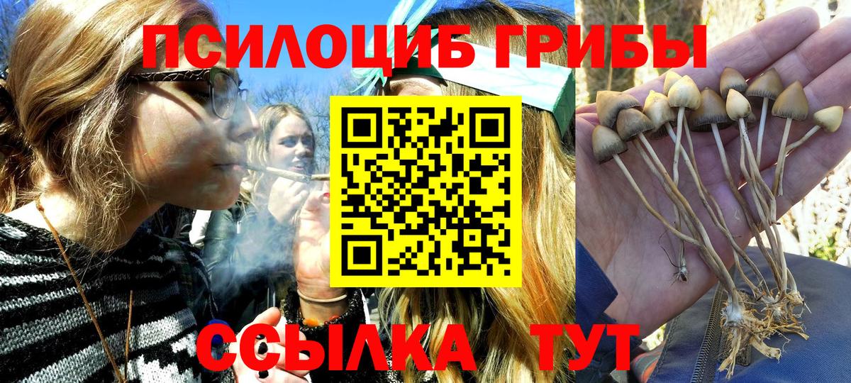 Псилоцибиновые грибы GOLDEN TEACHER Удомля